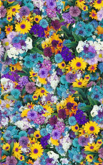 374962-花卉花丛油画绘画效果