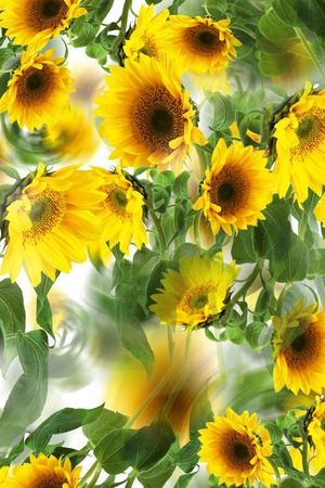 2015印花华亿平台图片