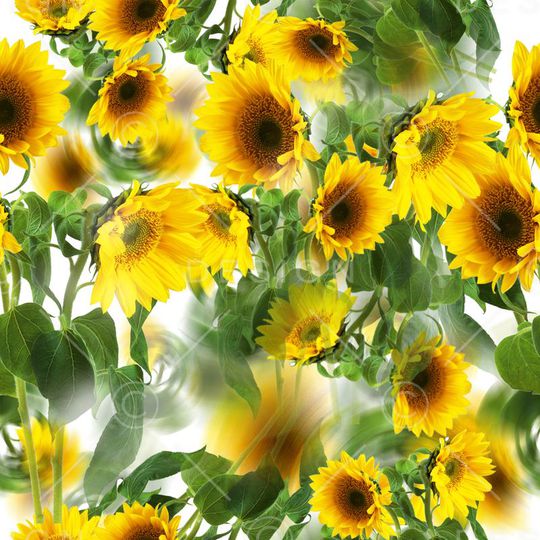 2015印花华亿平台图片