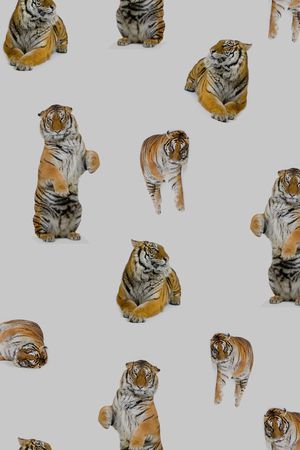 潮流印花华亿平台图片