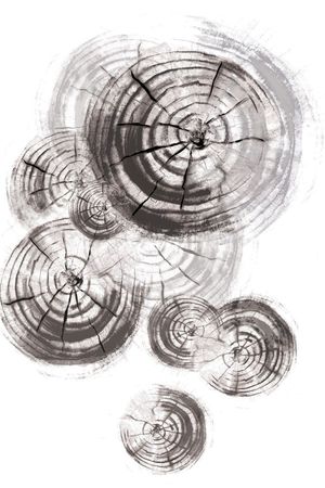 休闲印花华亿平台图片