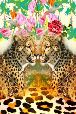 服装印花华亿平台图片