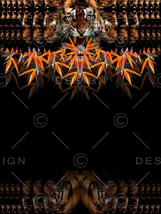 Givenchy印花华亿平台图片