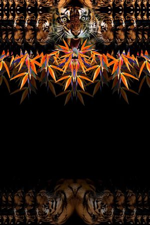 Givenchy印花华亿平台图片