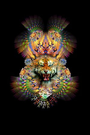 时尚印花华亿平台图片