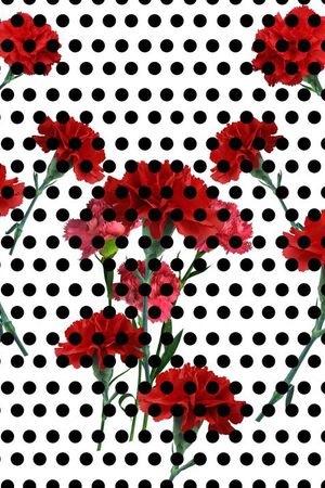 波点印花华亿平台图片