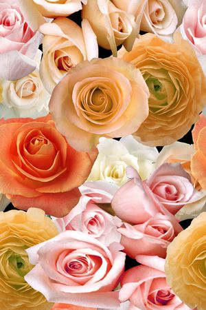 写实印花华亿平台图片