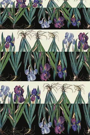 清新印花华亿平台图片