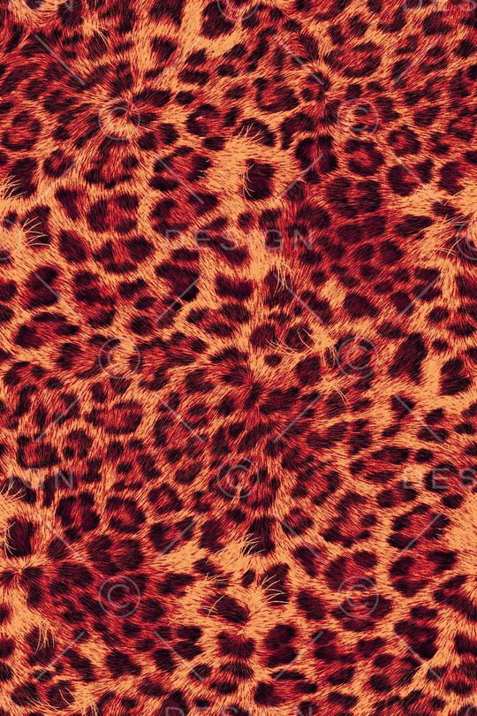 动物皮印花华亿平台图片