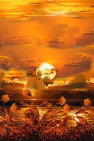 定位花印花华亿平台图片