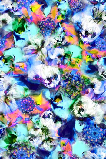 375321-抽象花卉花朵组合