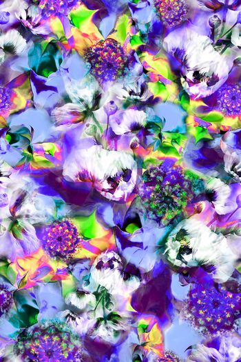 375322-抽象花卉花朵组合