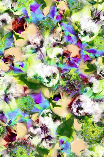 375323-抽象花卉花朵组合