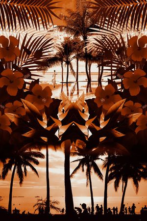 热带印花华亿平台图片