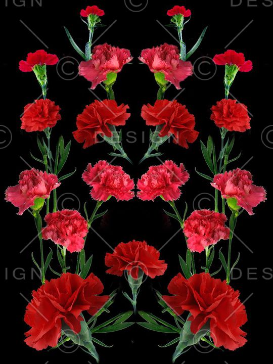 康乃馨印花华亿平台图片