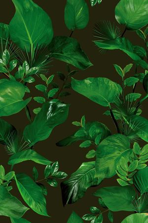 树叶印花华亿平台图片