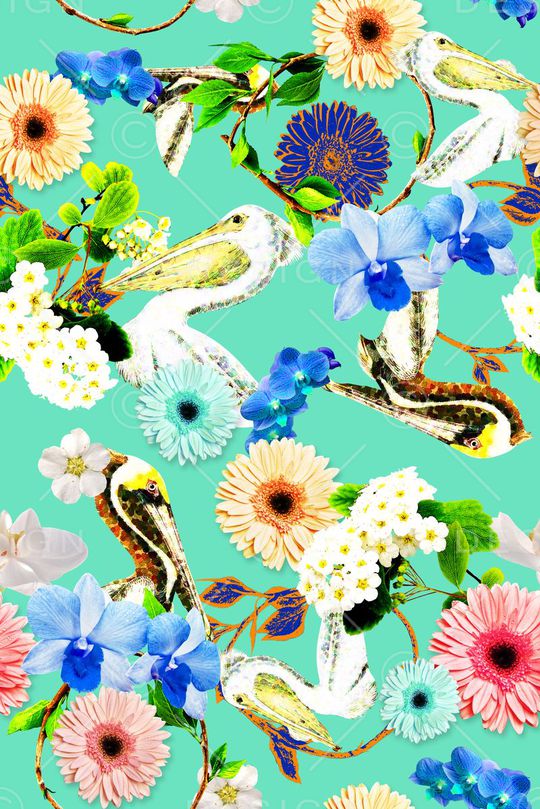 大气花 鸟组合女装印花华亿平台图片