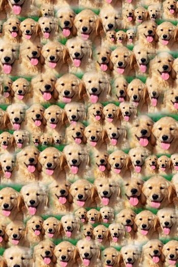 375530-买断带我回家吧