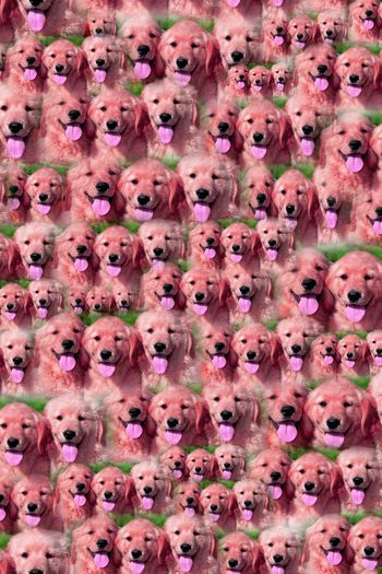 375531-买断带我回家吧