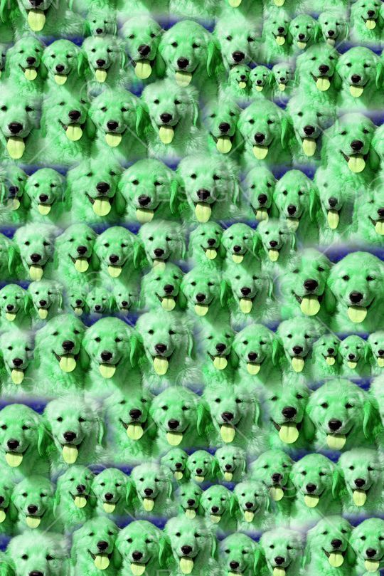 动物印花华亿平台图片