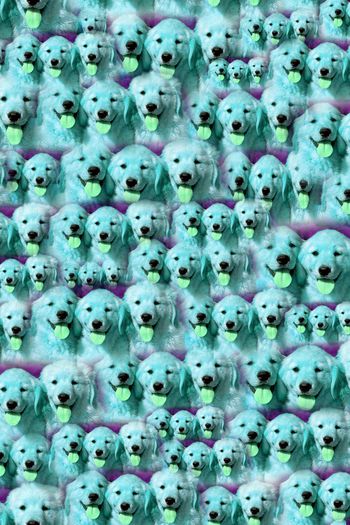 375533-买断带我回家吧