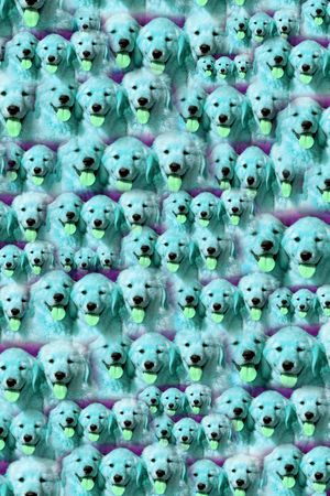 动物印花华亿平台图片