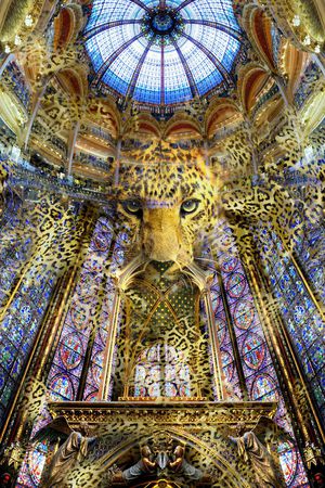 欧式印花华亿平台图片