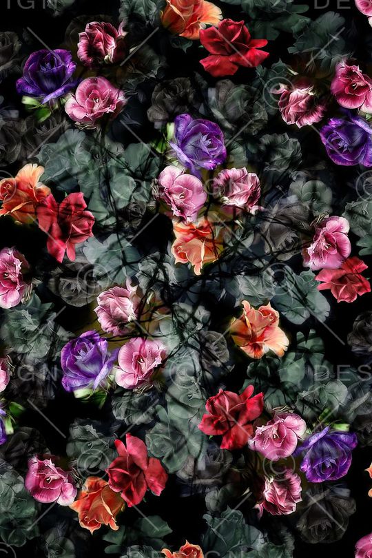 黑底印花华亿平台图片