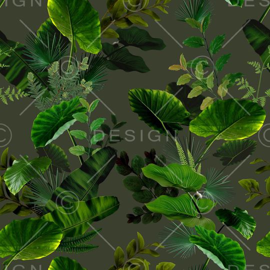 Osklen印花华亿平台图片