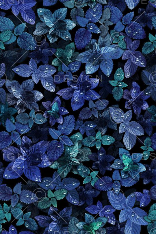 时尚印花华亿平台图片