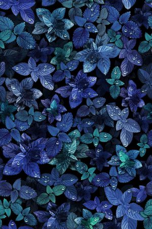 时尚印花华亿平台图片