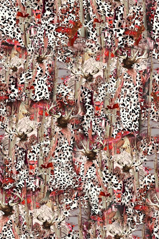 森林印花华亿平台图片