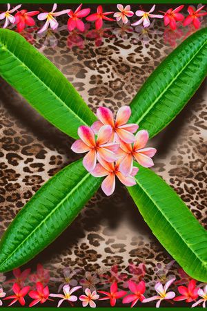 热带风印花华亿平台图片