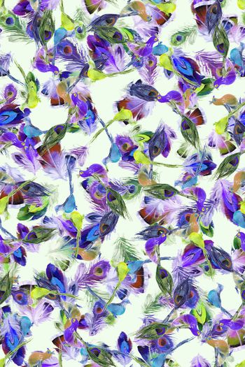 375791-WT429纹理抽象羽毛孔雀休闲假日