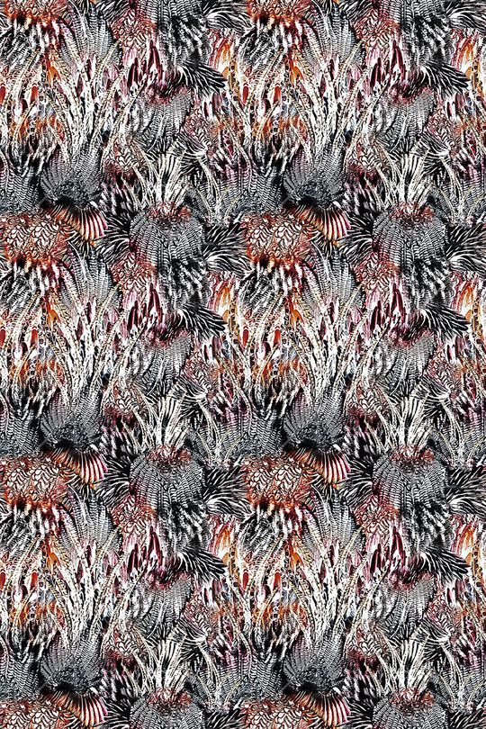 抽象羽毛印花华亿平台图片