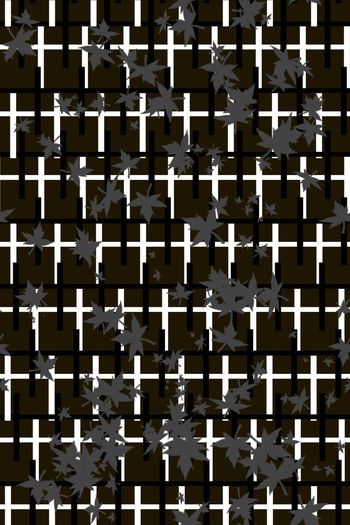 376065-飞舞条文.