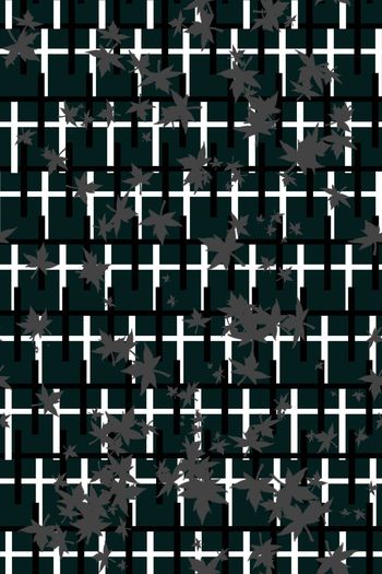 376067-飞舞条文.