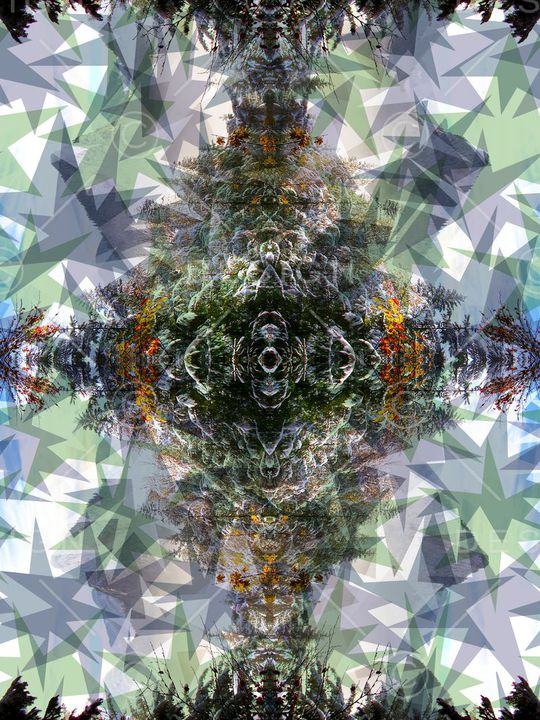 潮流印花华亿平台图片