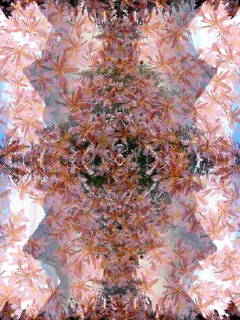 376108-复古创意风景花朵植物潮流男装华亿平台