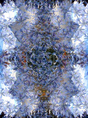 376109-复古创意风景花朵植物潮流男装华亿平台