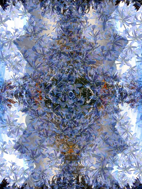 复古印花华亿平台图片