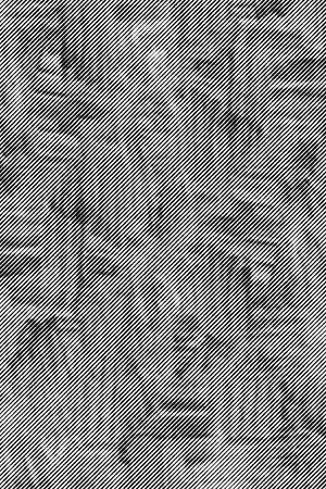 45度细纹印花华亿平台图片