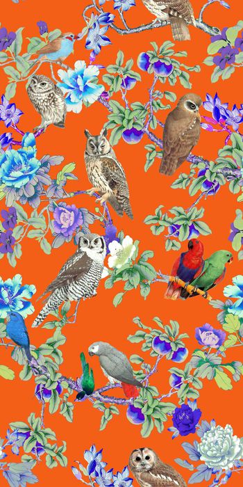 376344-丛林生物动物猫头鹰鹦鹉鸟类花卉枝叶