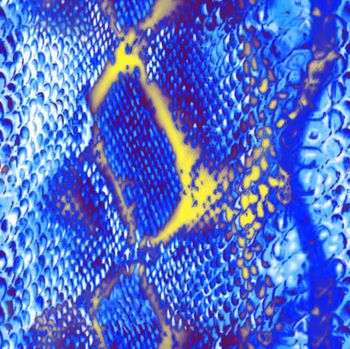 376388-数码 印花 国外 花布 四方连续 