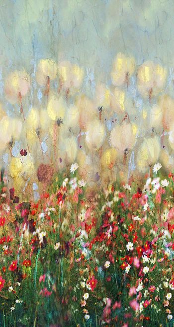 秋色蒲公英印花华亿平台图片