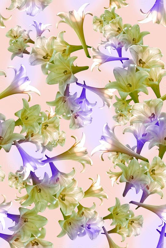 多彩印花华亿平台图片