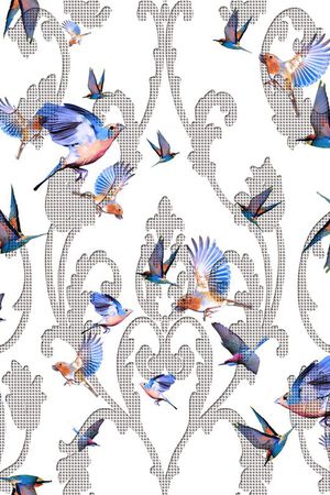 动物印花华亿平台图片