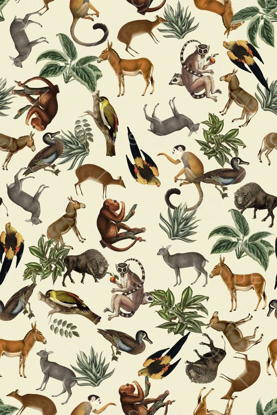 数码大牌时尚 动物印花华亿平台图片