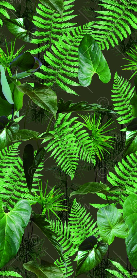 Osklen印花华亿平台图片