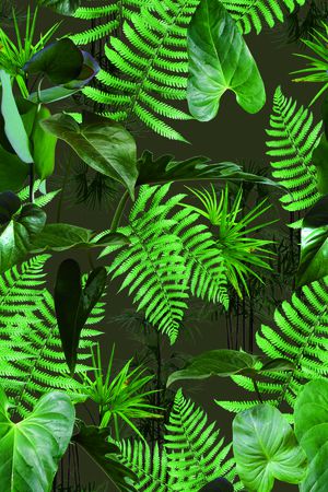 Osklen印花华亿平台图片